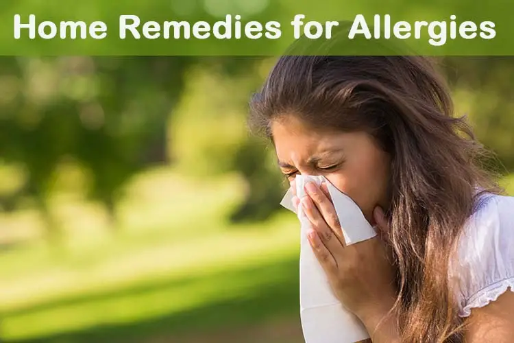Allergies – Wellness.guide