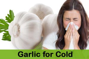 Garlic for Cold