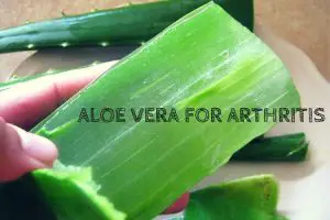 Aloe vera for arthritis