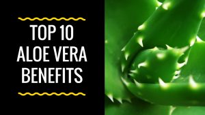 Aloe Vera Benefits