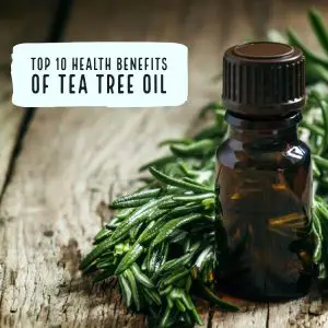 Tea Tree Oil Benefits
