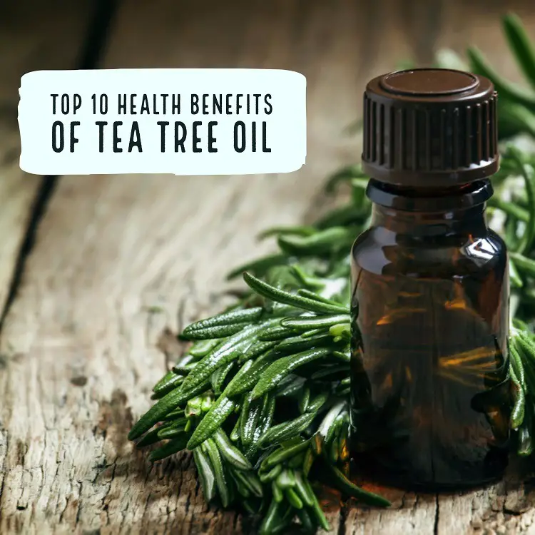 Top 10 Proven Benefits Of Tea Tree Oil Wellness Guide