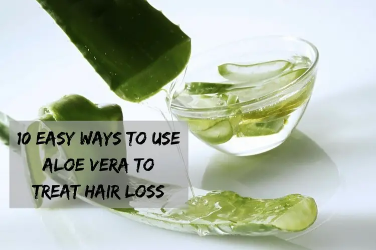 10 Easy Ways To Use Aloe Vera To Treat Hair Loss Wellness Guide