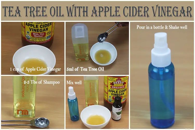 Tea Tree Oil and Apple Cider Vinegar