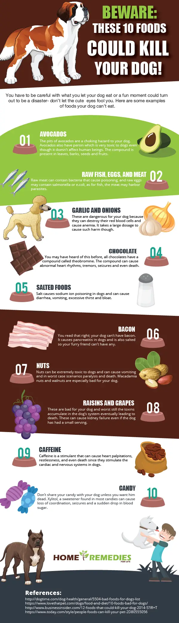 Beware: These 10 Foods Could Kill Your Dog!