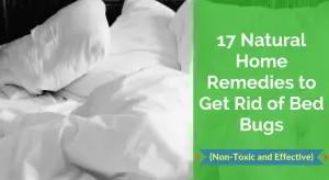 17 Natural Home Remedies to Get Rid of Bed Bugs(1)