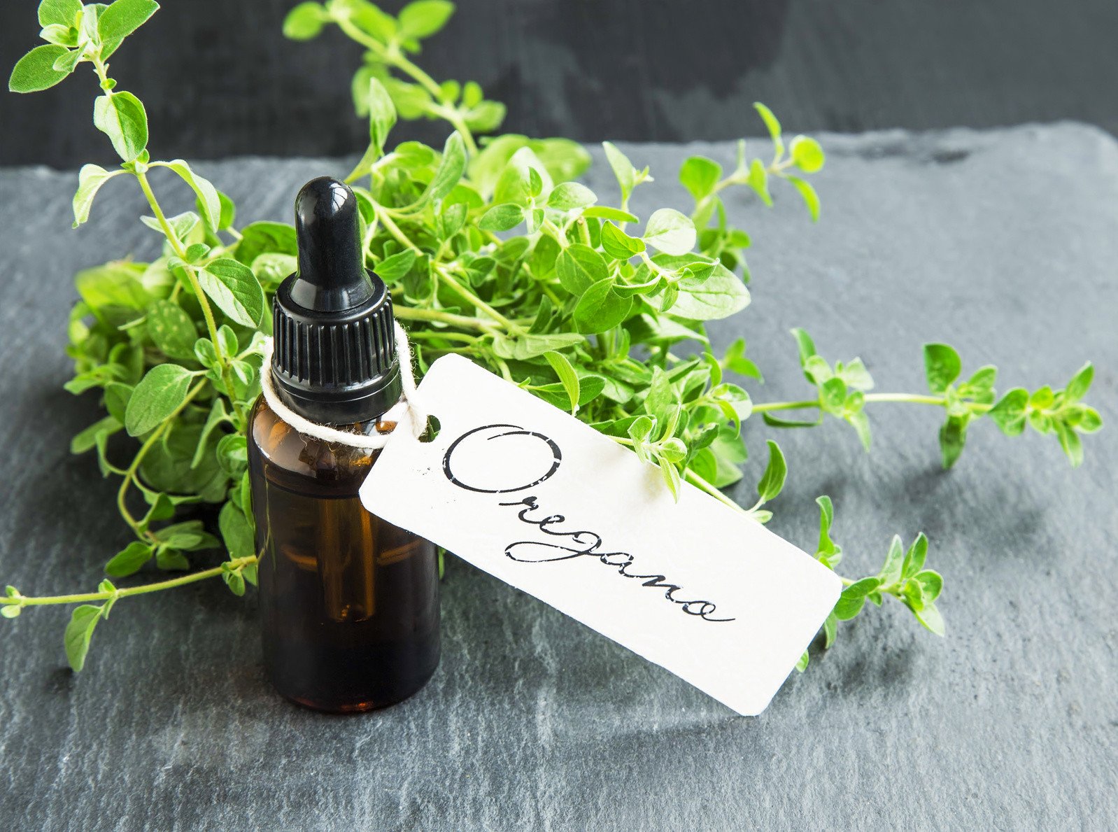 oregano oil for tooth abscess