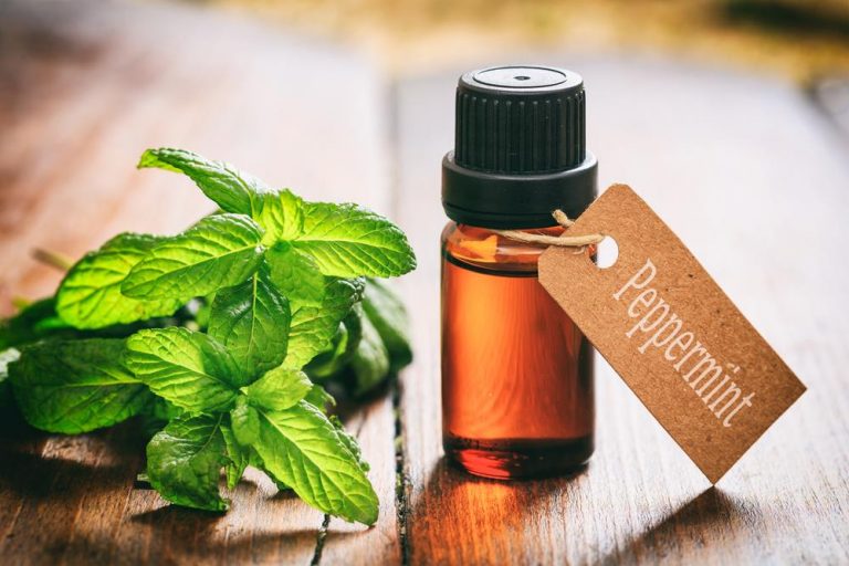 peppermint oil for tooth abscess