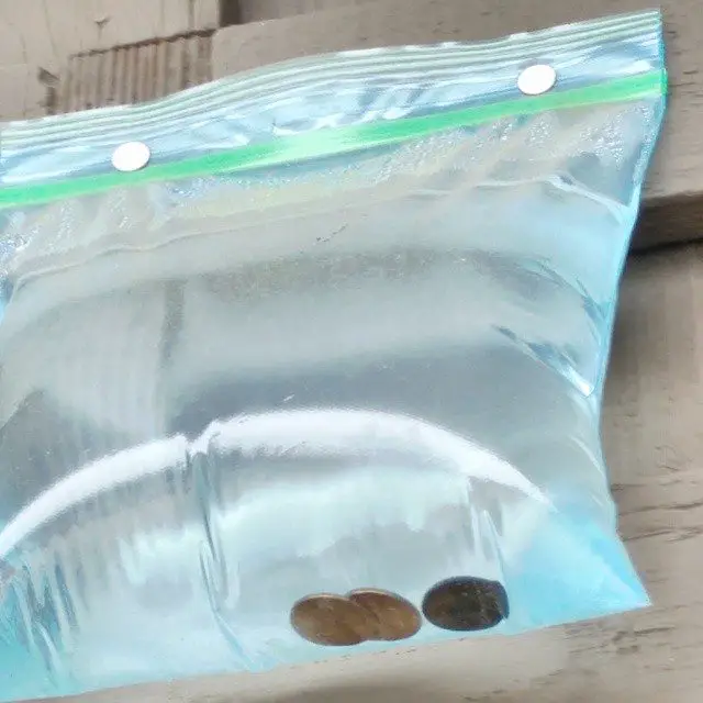 water filled ziplock with pennies